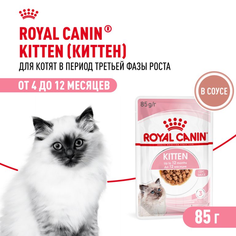 Корм для котят ROYAL CANIN в период третьей фазы роста до 12 месяцев, мясо в соусе пауч 85г Корм для котят ROYAL CANIN в период третьей фазы роста до 12 месяцев, мясо в соусе пауч 85г