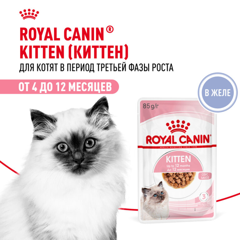 Корм для котят ROYAL CANIN в период третьей фазы роста, мясо в желе пауч 85г