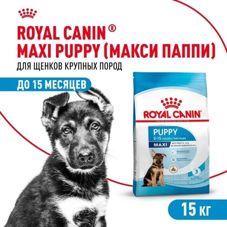 Корм для щенков ROYAL CANIN Maxi Puppy для крупных пород до 15 месяцев, сух. 15кг — цена и наличие Корм для щенков ROYAL CANIN Maxi Puppy для крупных пород до 15 месяцев, сух. 15кг