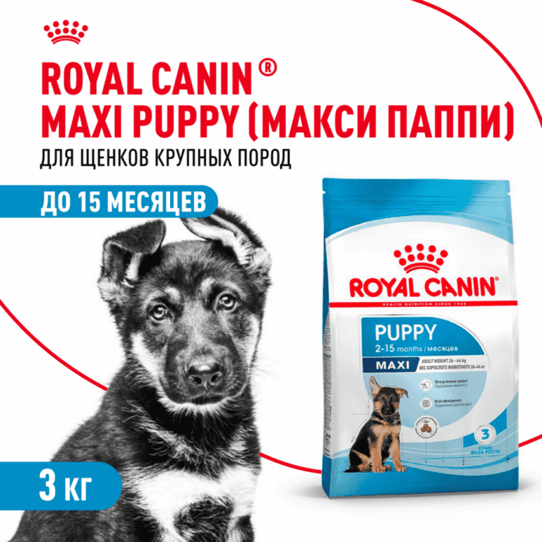 Корм для щенков ROYAL CANIN Maxi Puppy для крупных пород до 15 месяцев сух. 3кг — цена и наличие Корм для щенков ROYAL CANIN Maxi Puppy для крупных пород до 15 месяцев сух. 3кг