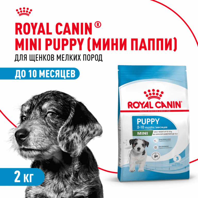 Корм для щенков ROYAL CANIN Mini Puppy для мелких пород с 2 до 10 месяцев сух. 2кг — цена и наличие Корм для щенков ROYAL CANIN Mini Puppy для мелких пород с 2 до 10 месяцев сух. 2кг