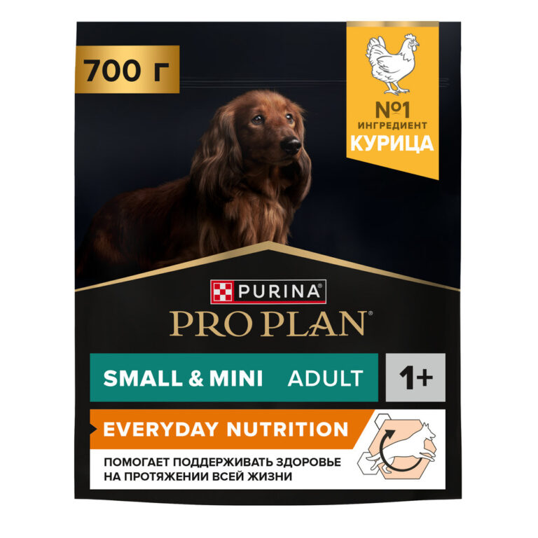 Корм для собак Pro Plan Everyday Nutrition для мелких и карликовых пород, с курицей сух. 700г — цена и наличие Корм для собак Pro Plan Everyday Nutrition для мелких и карликовых пород, с курицей сух. 700г