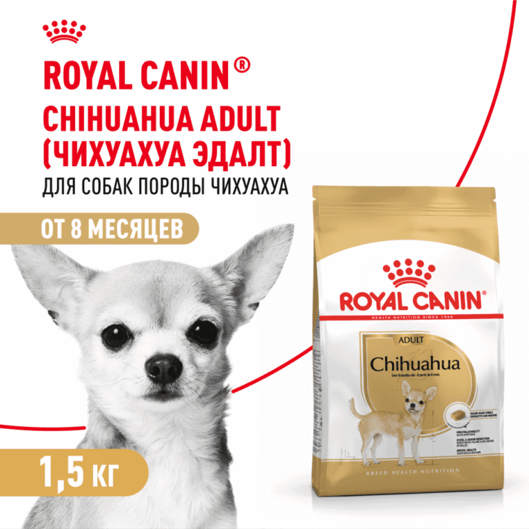 Корм для собак ROYAL CANIN Chihuahua Adult для породы чихуахуа от 8 месяцев сух. 1,5кг — цена и наличие Корм для собак ROYAL CANIN Chihuahua Adult для породы чихуахуа от 8 месяцев сух. 1,5кг
