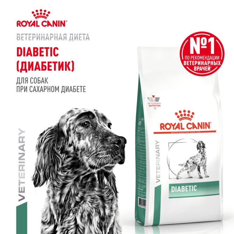 Корм для собак ROYAL CANIN Diabetic DS 37 Canine при сахарном диабете сух. 1,5кг — цена и наличие Корм для собак ROYAL CANIN Diabetic DS 37 Canine при сахарном диабете сух. 1,5кг