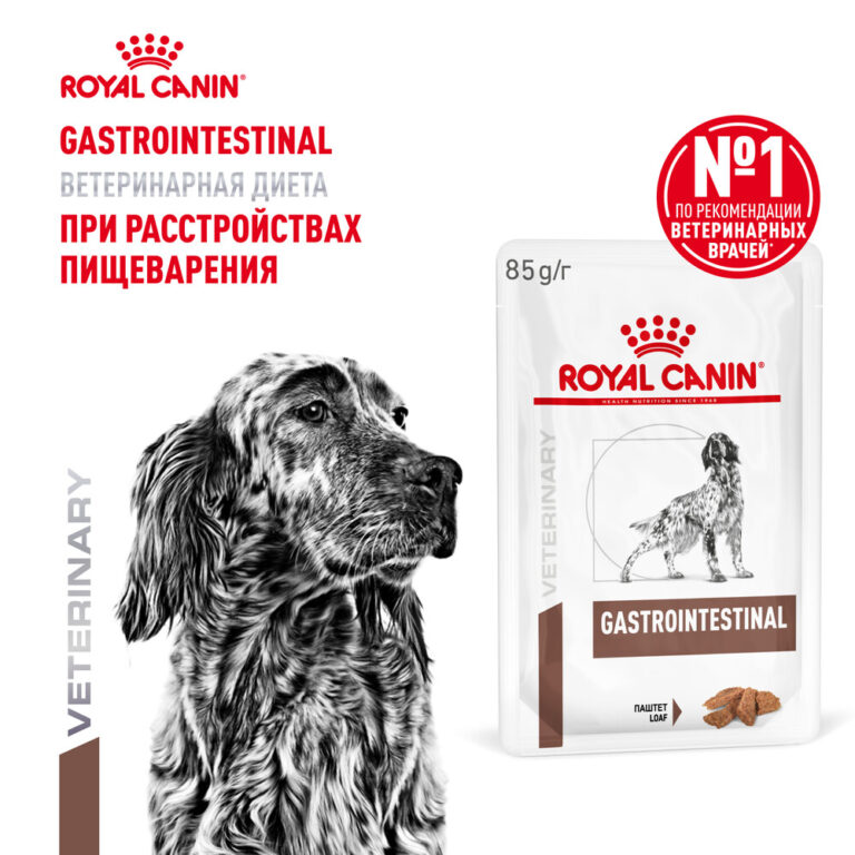Корм для собак ROYAL CANIN Gastrointestinal при расстройствах пищеварения, паштет пауч 85г — цена и наличие Корм для собак ROYAL CANIN Gastrointestinal при расстройствах пищеварения, паштет пауч 85г