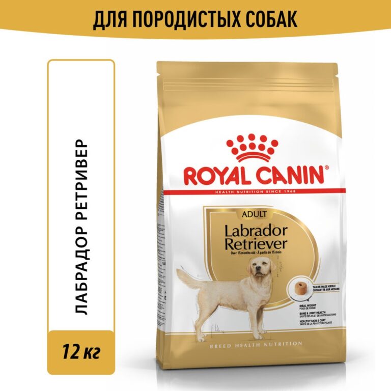 Корм для собак ROYAL CANIN Labrador Retriever 30 для породы Лабрадор старше 15 месяцев сух. 12кг — цена и наличие Корм для собак ROYAL CANIN Labrador Retriever 30 для породы Лабрадор старше 15 месяцев сух. 12кг