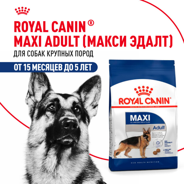Корм для собак ROYAL CANIN Maxi Adult для крупных пород от 15 месяцев до 5 лет, сух. 3кг Корм для собак ROYAL CANIN Maxi Adult для крупных пород от 15 месяцев до 5 лет, сух. 3кг