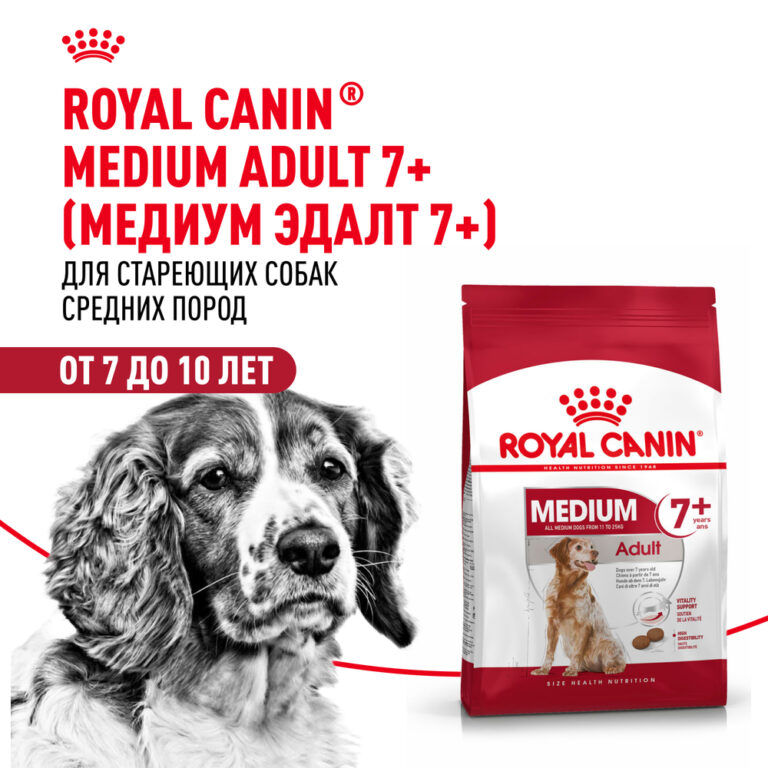 Корм для собак ROYAL CANIN Medium Adult 7+ для средних пород от 7 лет сух. 15кг