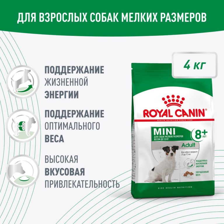 Корм для собак ROYAL CANIN Mini Adult 8+ для мелких пород (до 10кг) старше 8 лет сух. 4кг — цена и наличие Корм для собак ROYAL CANIN Mini Adult 8+ для мелких пород (до 10кг) старше 8 лет сух. 4кг