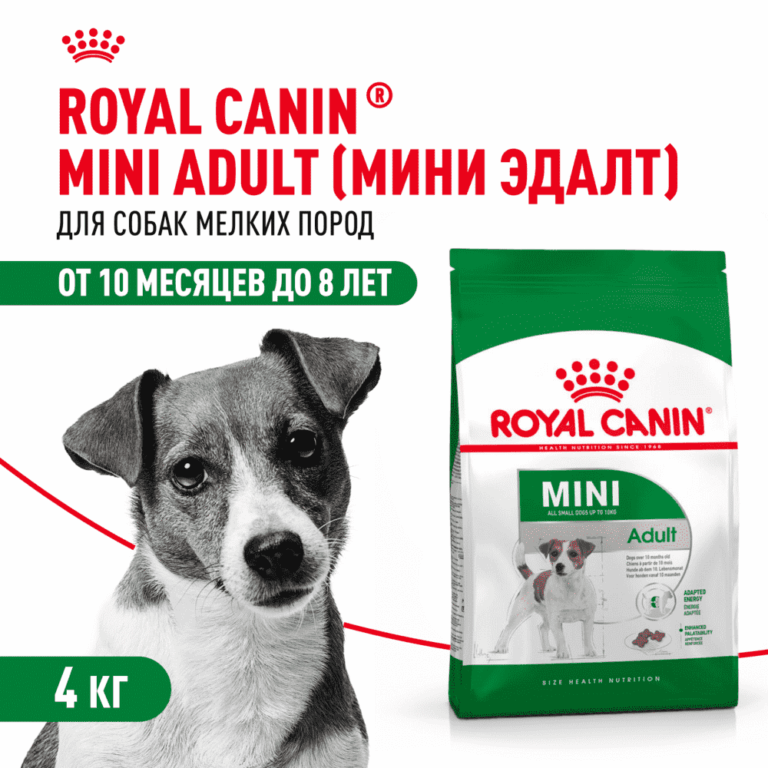 Корм для собак ROYAL CANIN Mini Adult для мелких пород от 10 месяцев сух. 4кг — цена и наличие Корм для собак ROYAL CANIN Mini Adult для мелких пород от 10 месяцев сух. 4кг