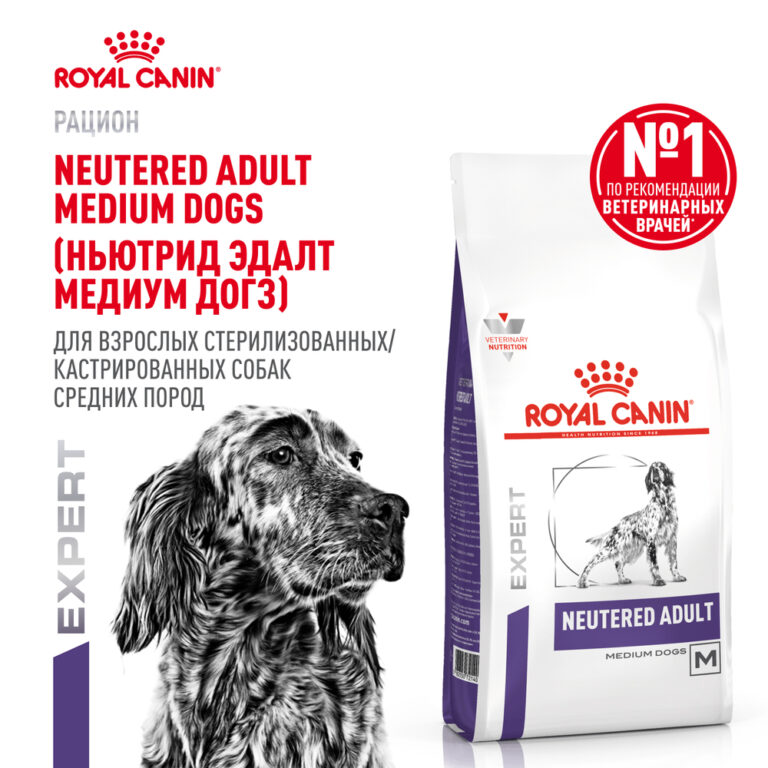 Корм для собак ROYAL CANIN Neutered Adult для стерилизованных и кастрир. старше 12 мес. сух. 9кг — цена и наличие Корм для собак ROYAL CANIN Neutered Adult для стерилизованных и кастрир. старше 12 мес. сух. 9кг