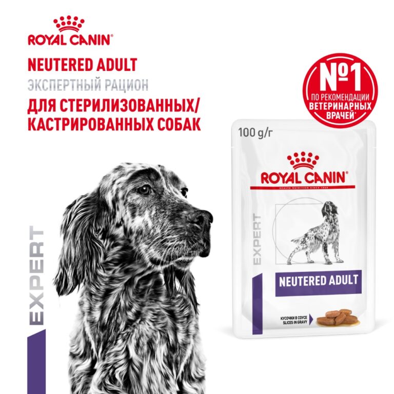 Корм для собак ROYAL CANIN Neutered кусочки в соусе пауч 100г — цена и наличие Корм для собак ROYAL CANIN Neutered кусочки в соусе пауч 100г