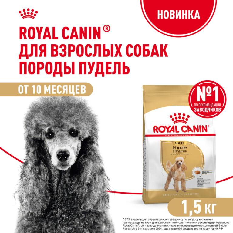 Корм для собак ROYAL CANIN Poodle для породы пудель от 10 месяцев сух. 1,5кг — цена и наличие Корм для собак ROYAL CANIN Poodle для породы пудель от 10 месяцев сух. 1,5кг