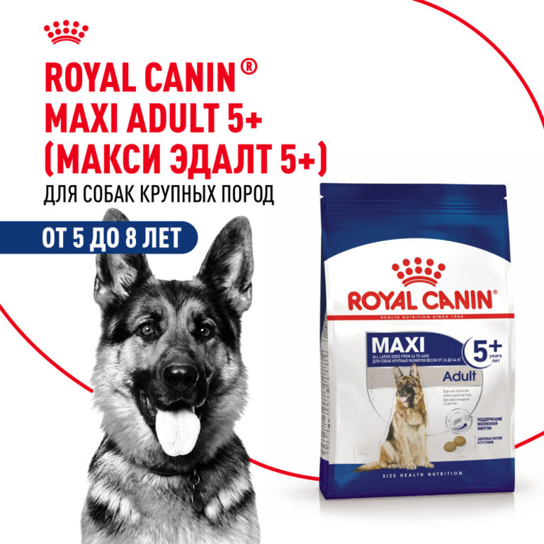 Корм для собак ROYAL CANIN Size Maxi Adult 5+ для крупных пород старше 5 лет сух.15кг Корм для собак ROYAL CANIN Size Maxi Adult 5+ для крупных пород старше 5 лет сух.15кг