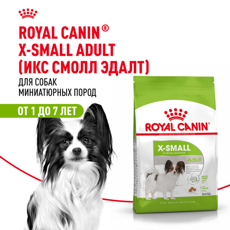 Корм для собак ROYAL CANIN Size X-Small Adult для миниатюрных пород от 10 месяцев до 8 лет сух. 3кг