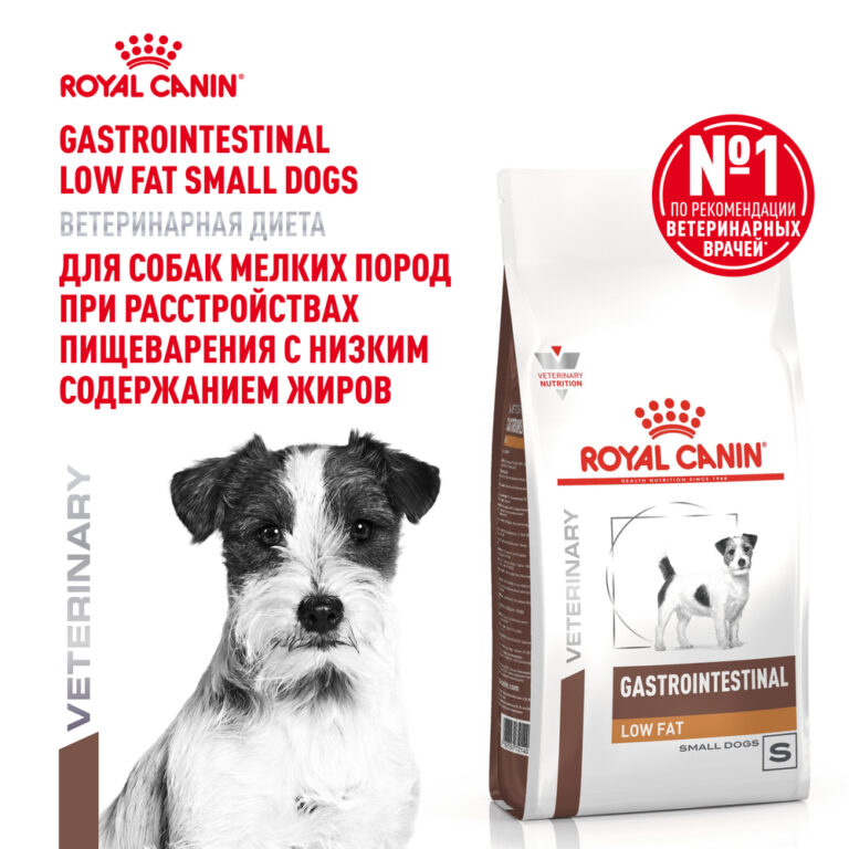 Корм для собак ROYAL CANIN Vet Diet Gastro Intestinal Low Fat для мелких пород сух. 1кг — цена и наличие Корм для собак ROYAL CANIN Vet Diet Gastro Intestinal Low Fat для мелких пород сух. 1кг