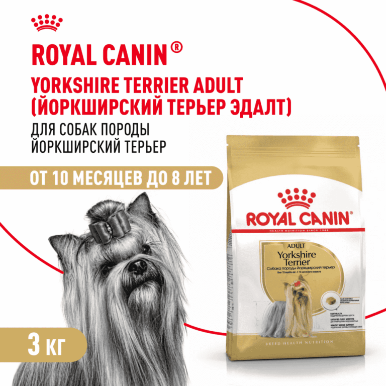 Корм для собак ROYAL CANIN Yorkshire Terrier Adult для породы йоркширский терьер от 10 мес. сух. 3кг — цена и наличие Корм для собак ROYAL CANIN Yorkshire Terrier Adult для породы йоркширский терьер от 10 мес. сух. 3кг