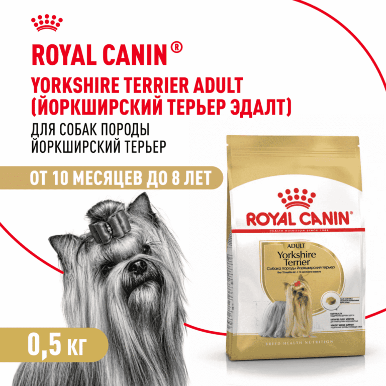 Корм для собак ROYAL CANIN Yorkshire Terrier Adult для породы йоркширский терьер от 10 мес. сух. 500г — цена и наличие Корм для собак ROYAL CANIN Yorkshire Terrier Adult для породы йоркширский терьер от 10 мес. сух. 500г
