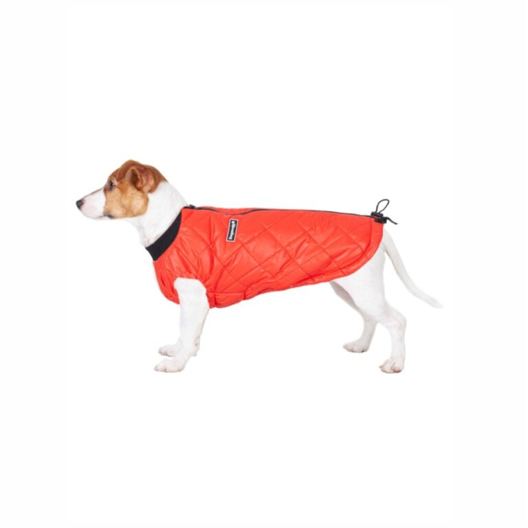 Куртка для собак Dogmoda Ромб стеганная унесекс, красный-6, спина 41см — цена и наличие Куртка для собак Dogmoda Ромб стеганная унесекс, красный-6, спина 41см