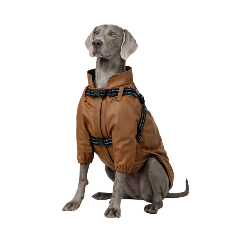 Куртка для собак Foxie Noble Rain XL со шлейкой (длина спины 45см) коричневый — цена и наличие Куртка для собак Foxie Noble Rain XL со шлейкой (длина спины 45см) коричневый