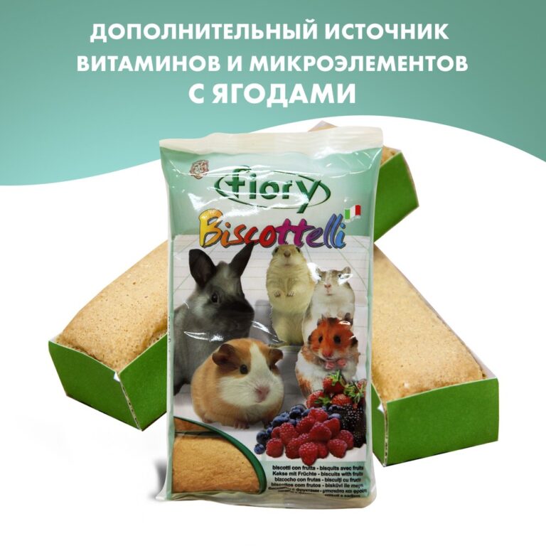 Лакомство для грызунов Fiory Бисквиты с ягодами 30г — цена и наличие Лакомство для грызунов Fiory Бисквиты с ягодами 30г