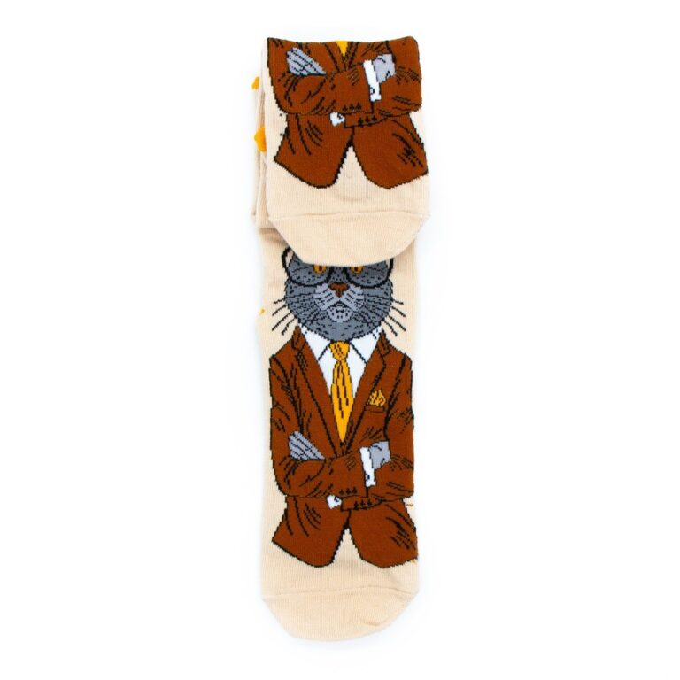 Носки MASTER SOCKS Кот в пиджаке бежевый мужские р.27
