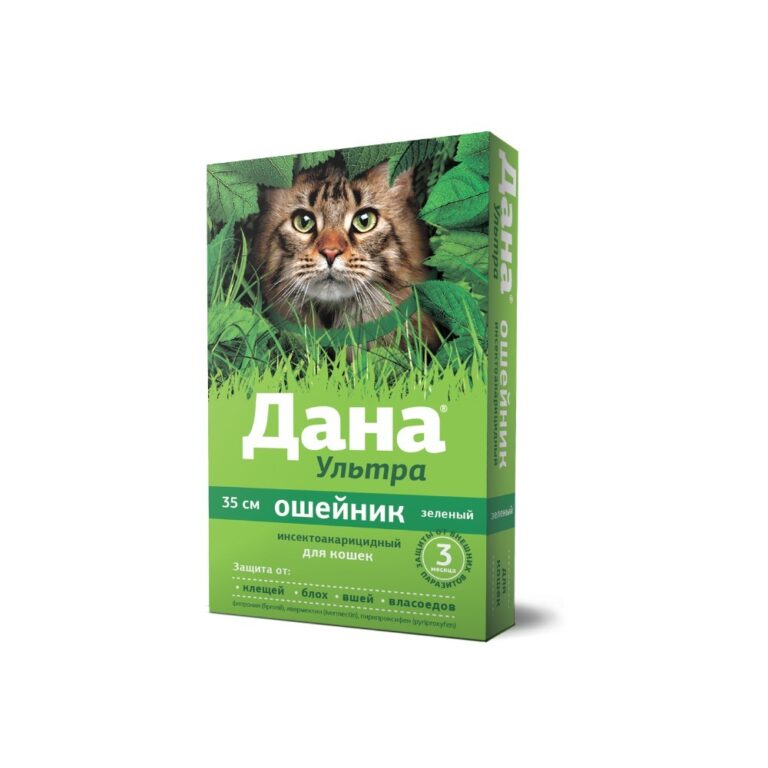 Ошейник для кошек Apicenna Дана Ультра зелёный 35см — цена и наличие Ошейник для кошек Apicenna Дана Ультра зелёный 35см