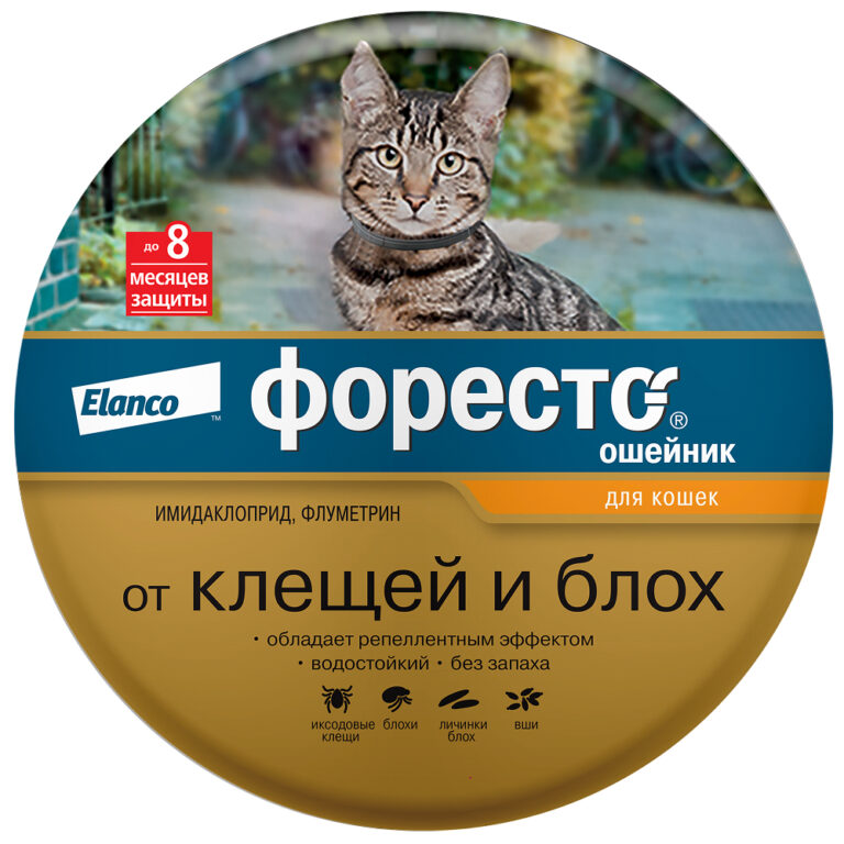 Ошейник для кошек Elanco Форесто от клещей, блох и вшей, защита 8 месяцев — цена и наличие Ошейник для кошек Elanco Форесто от клещей, блох и вшей, защита 8 месяцев