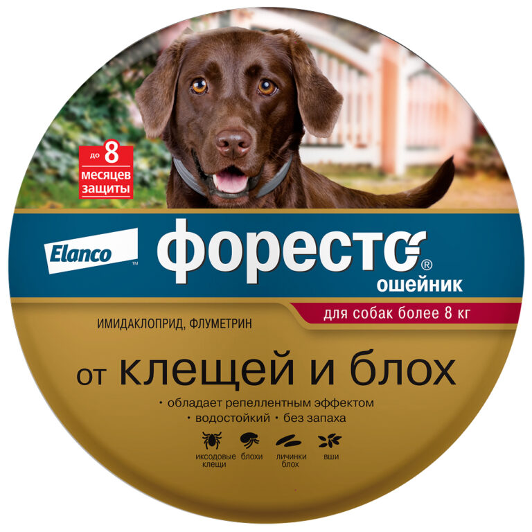 Ошейник для собак Elanco Форесто от 8кг от клещей, блох и вшей, защита 8 месяцев 70см Ошейник для собак Elanco Форесто от 8кг от клещей, блох и вшей, защита 8 месяцев 70см