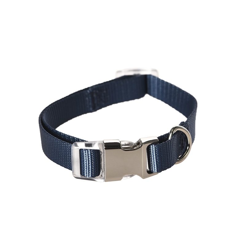 Ошейник для собак Foxie Bluebird M 1,9х35-50см синий Ошейник для собак Foxie Bluebird M 1,9х35-50см синий