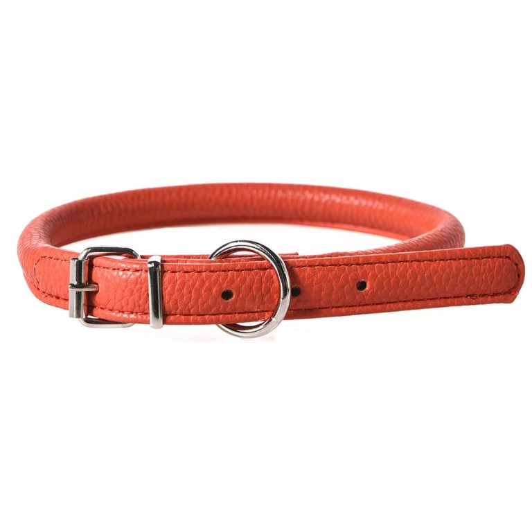 Ошейник для собак Foxie Carrot M 1,5х55см рыжий Ошейник для собак Foxie Carrot M 1,5х55см рыжий