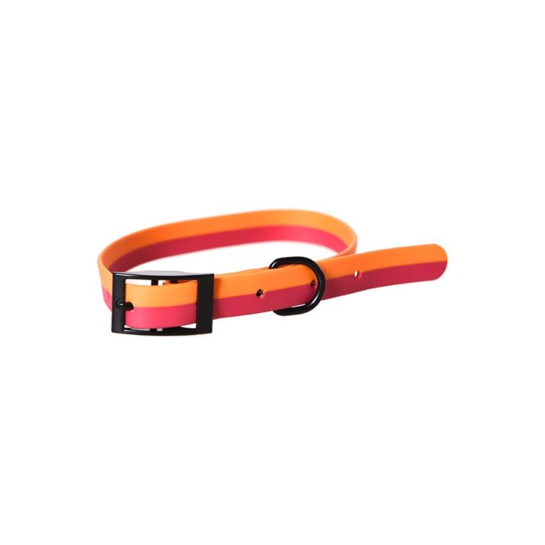 Ошейник для собак Foxie Double color из биотана L 2,5х40-55см оранжевый Ошейник для собак Foxie Double color из биотана L 2,5х40-55см оранжевый
