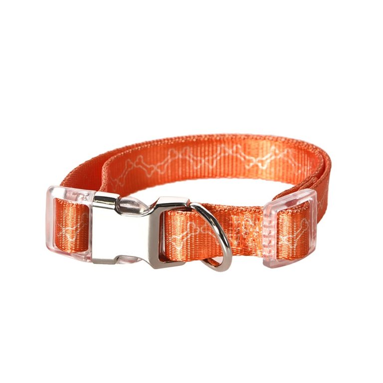 Ошейник для собак Foxie Fantasy S 1,5х30-45см Ошейник для собак Foxie Fantasy S 1,5х30-45см