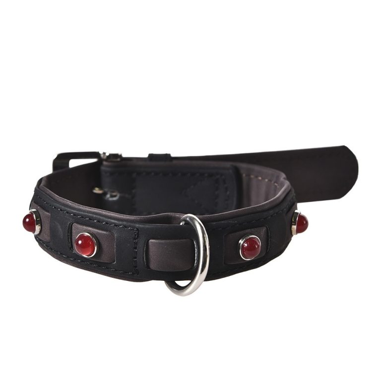 Ошейник для собак Foxie Jewel M 2,0х35-50см черный Ошейник для собак Foxie Jewel M 2,0х35-50см черный