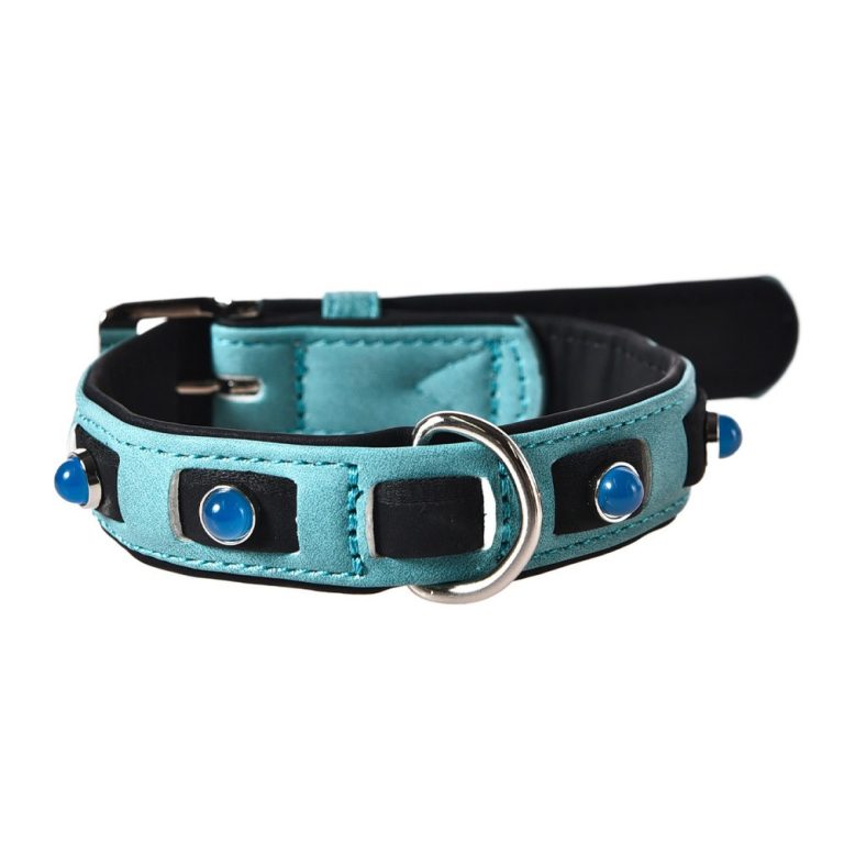 Ошейник для собак Foxie Lagoon L 2,5х40-55см голубой Ошейник для собак Foxie Lagoon L 2,5х40-55см голубой