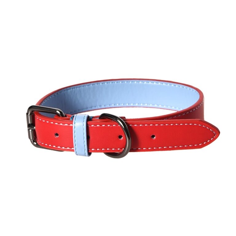 Ошейник для собак Foxie Loving L 2,5×35-45 красный — цена и наличие Ошейник для собак Foxie Loving L 2,5×35-45 красный