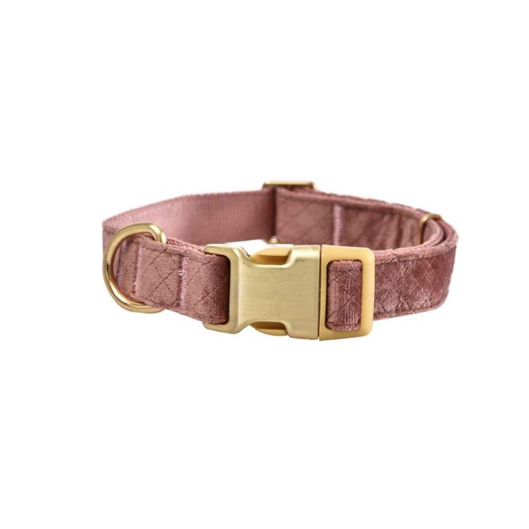 Ошейник для собак Foxie Velvet S 2×22-29см дымчатый розовый