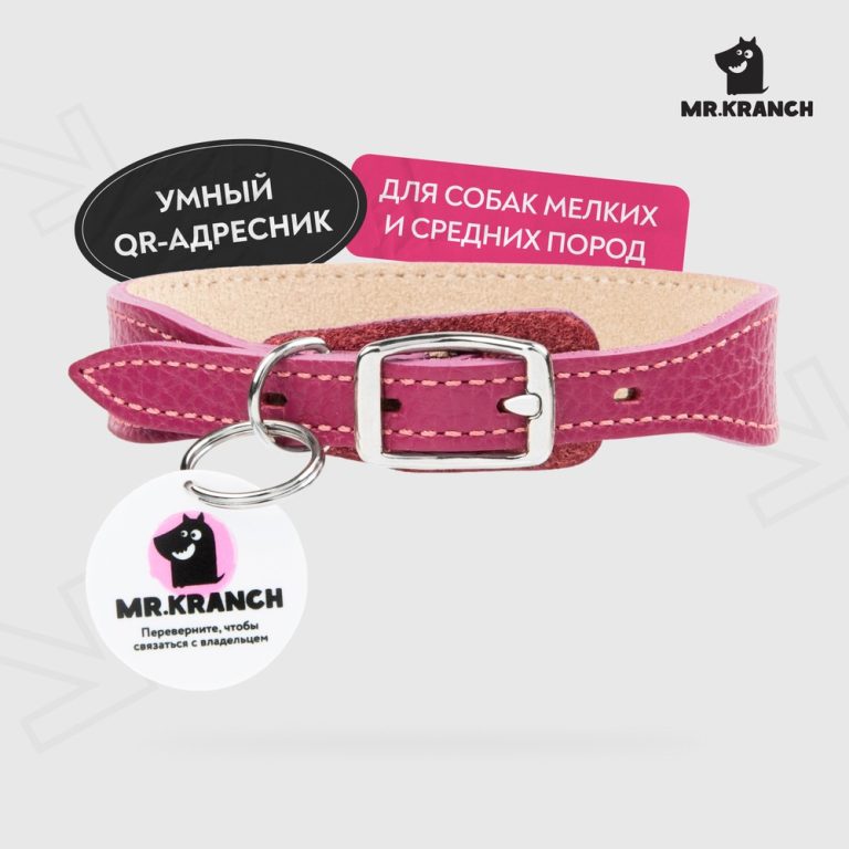 Ошейник для собак Mr.Kranch из натуральной кожи с QR-адресником, малиновый 22-26см Ошейник для собак Mr.Kranch из натуральной кожи с QR-адресником, малиновый 22-26см