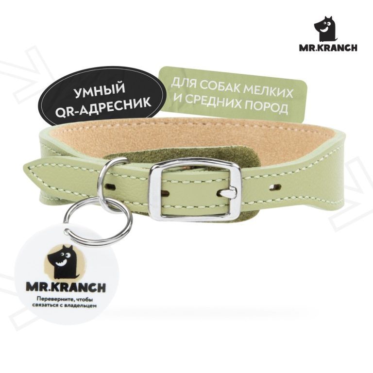 Ошейник для собак Mr.Kranch из натуральной кожи с QR-адресником, нежно-зеленый 22-26см