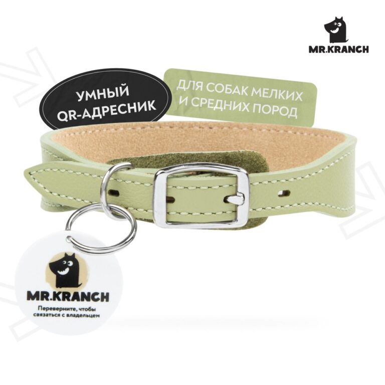Ошейник для собак Mr.Kranch из натуральной кожи с QR-адресником, нежно-зеленый 30-35см — цена и наличие Ошейник для собак Mr.Kranch из натуральной кожи с QR-адресником, нежно-зеленый 30-35см