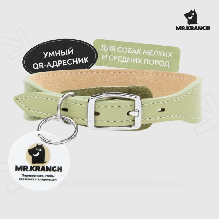 Ошейник для собак Mr.Kranch из натуральной кожи с QR-адресником, нежно-зеленый 33-40см Ошейник для собак Mr.Kranch из натуральной кожи с QR-адресником, нежно-зеленый 33-40см