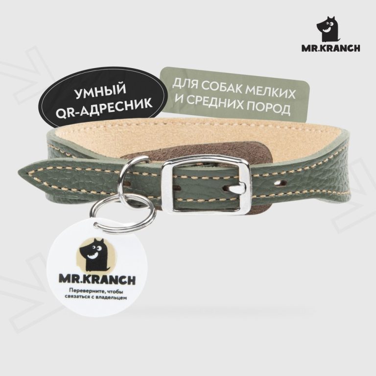 Ошейник для собак Mr.Kranch из натуральной кожи с QR-адресником, оливковый 22-26см Ошейник для собак Mr.Kranch из натуральной кожи с QR-адресником, оливковый 22-26см