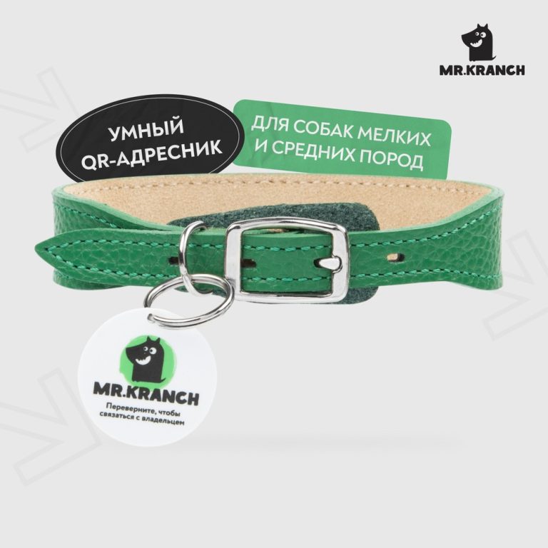 Ошейник для собак Mr.Kranch из натуральной кожи с QR-адресником, зеленый 22-26см Ошейник для собак Mr.Kranch из натуральной кожи с QR-адресником, зеленый 22-26см