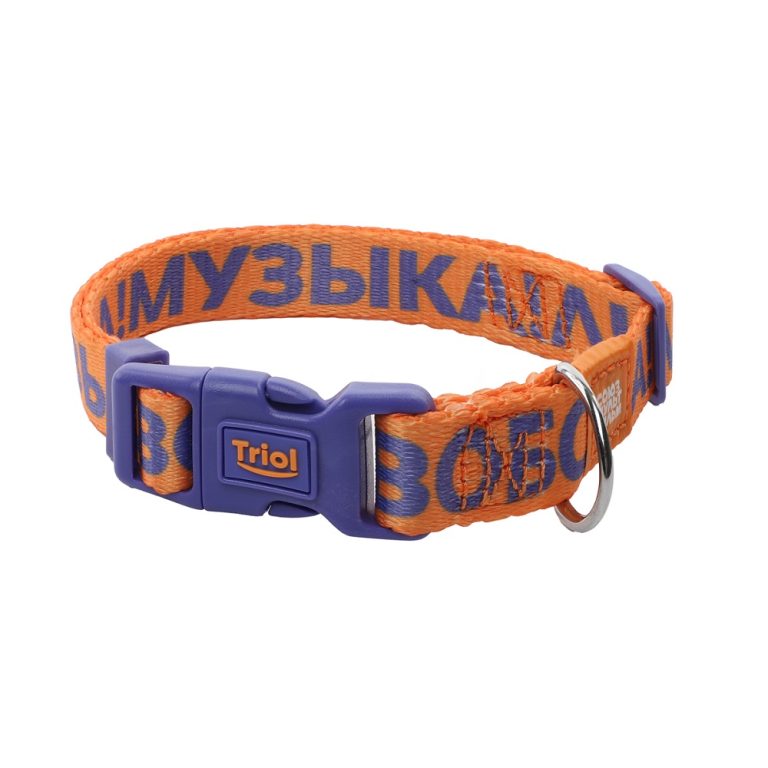 Ошейник для собак TRIOL Союзмультфильм "Свобода! Музыка! Любовь!" S, нейлоновый оранж., 15х270-370мм Ошейник для собак TRIOL Союзмультфильм "Свобода! Музыка! Любовь!" S, нейлоновый оранж., 15х270-370мм