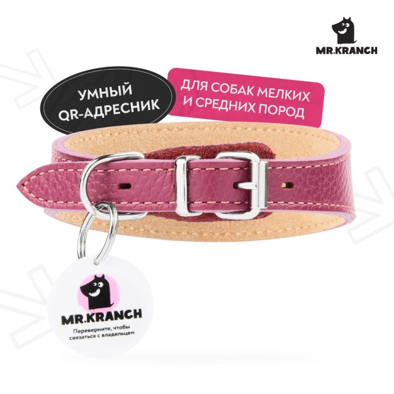 Ошейник-селедка для собак Mr.Kranch из натуральной кожи с QR-адресником, малиновый 21-25см