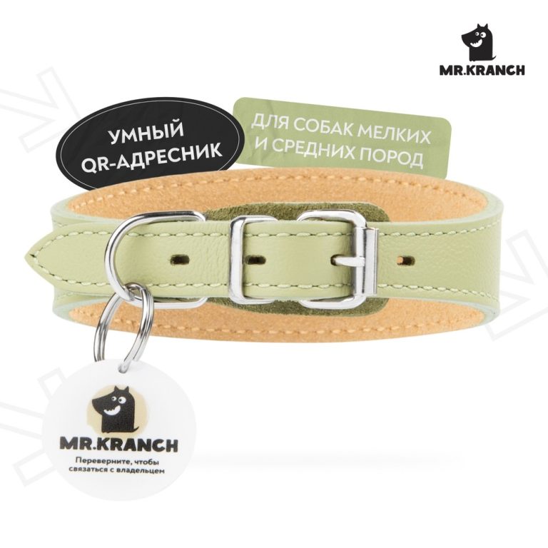 Ошейник-селедка для собак Mr.Kranch из натуральной кожи с QR-адресником, нежно-зеленый 19-23см Ошейник-селедка для собак Mr.Kranch из натуральной кожи с QR-адресником, нежно-зеленый 19-23см