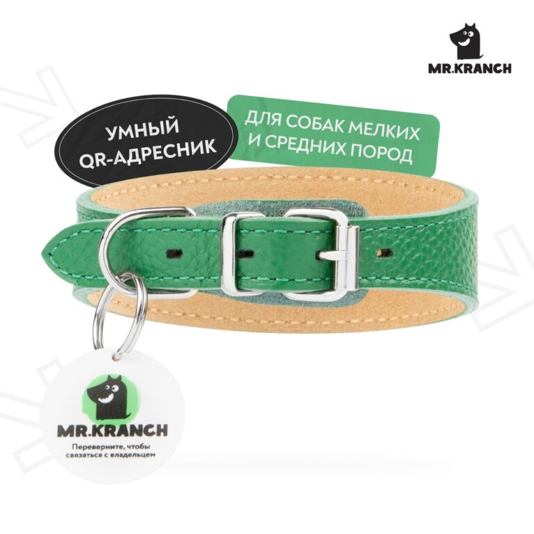Ошейник-селедка для собак Mr.Kranch из натуральной кожи с QR-адресником, зеленый 19-23см — цена и наличие Ошейник-селедка для собак Mr.Kranch из натуральной кожи с QR-адресником, зеленый 19-23см