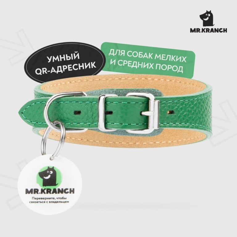 Ошейник-селедка для собак Mr.Kranch из натуральной кожи с QR-адресником, зеленый 21-25см — цена и наличие Ошейник-селедка для собак Mr.Kranch из натуральной кожи с QR-адресником, зеленый 21-25см