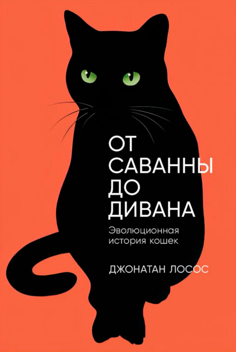 От саванны до дивана: Эволюционная история кошек От саванны до дивана: Эволюционная история кошек