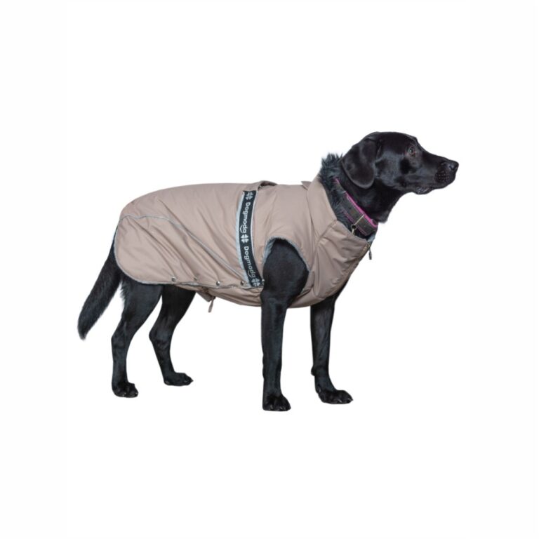 Попона для собак Dogmoda зимняя, девочка, кофе-54см — цена и наличие Попона для собак Dogmoda зимняя, девочка, кофе-54см